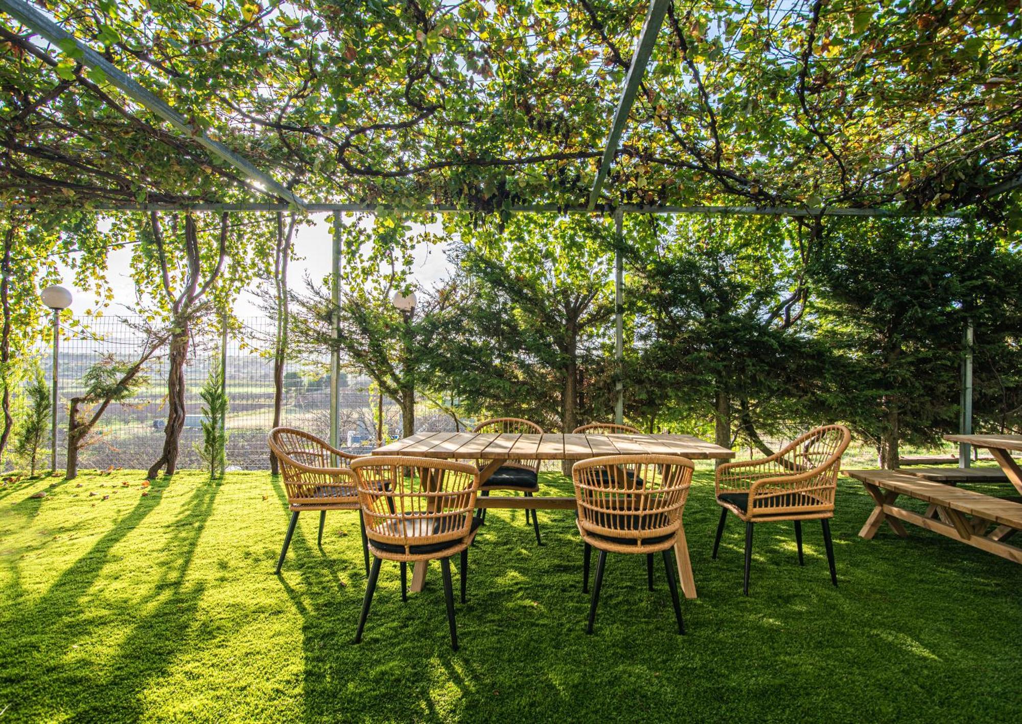 Kanela Apartment Oinofyta Bagian luar foto